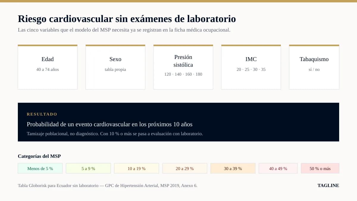 Las cinco variables del cálculo de riesgo cardiovascular sin laboratorio: edad, sexo, presión sistólica, IMC y tabaquismo