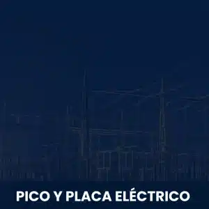 PICO Y PLACA ELECTRICO